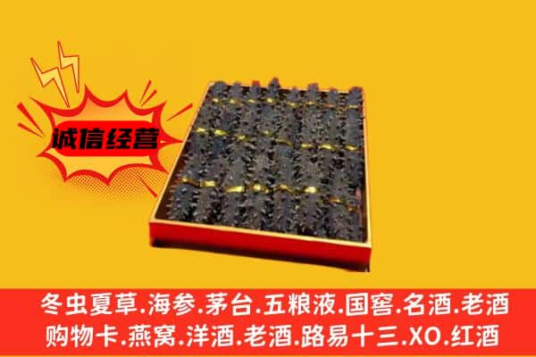 乐山市金口河回收海参